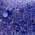 Frozen Bubbles in the Merced River Yosemite Natioinal Park