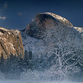 fog shrouded black oak half dome yosemite np california